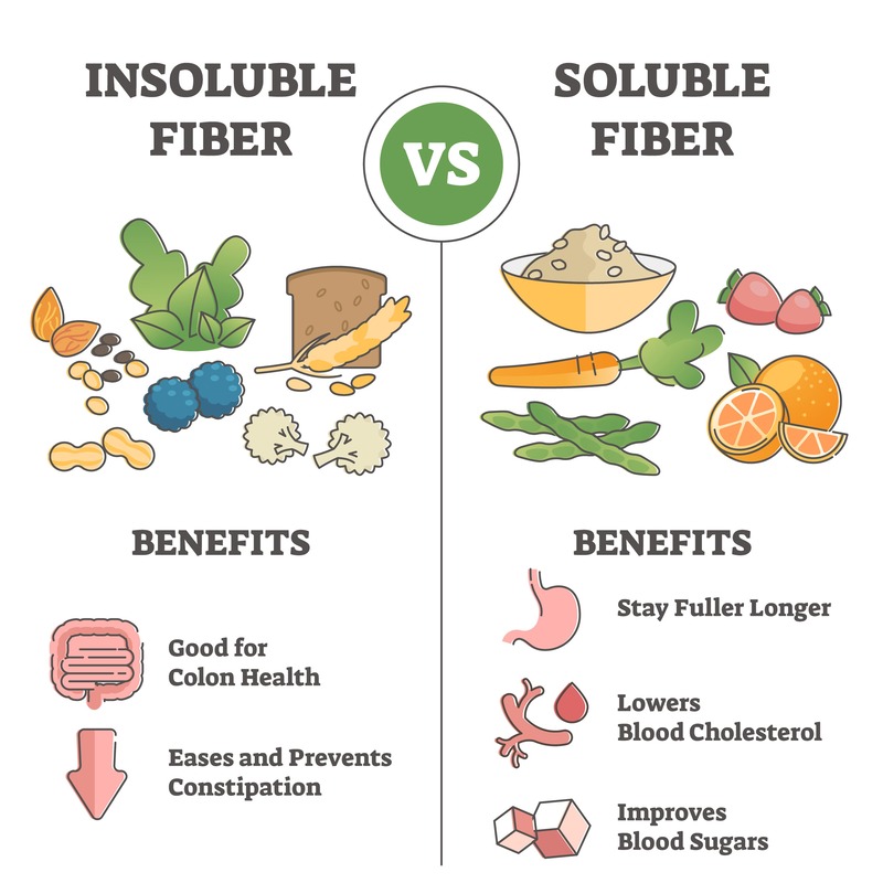 fibre solubili e insolubili